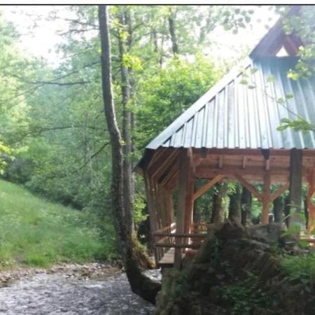 Eco Camp Dzogaska Vrela Hotel Pljevlja Bagian luar foto