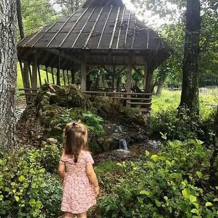 Eco Camp Dzogaska Vrela Hotel Pljevlja Bagian luar foto