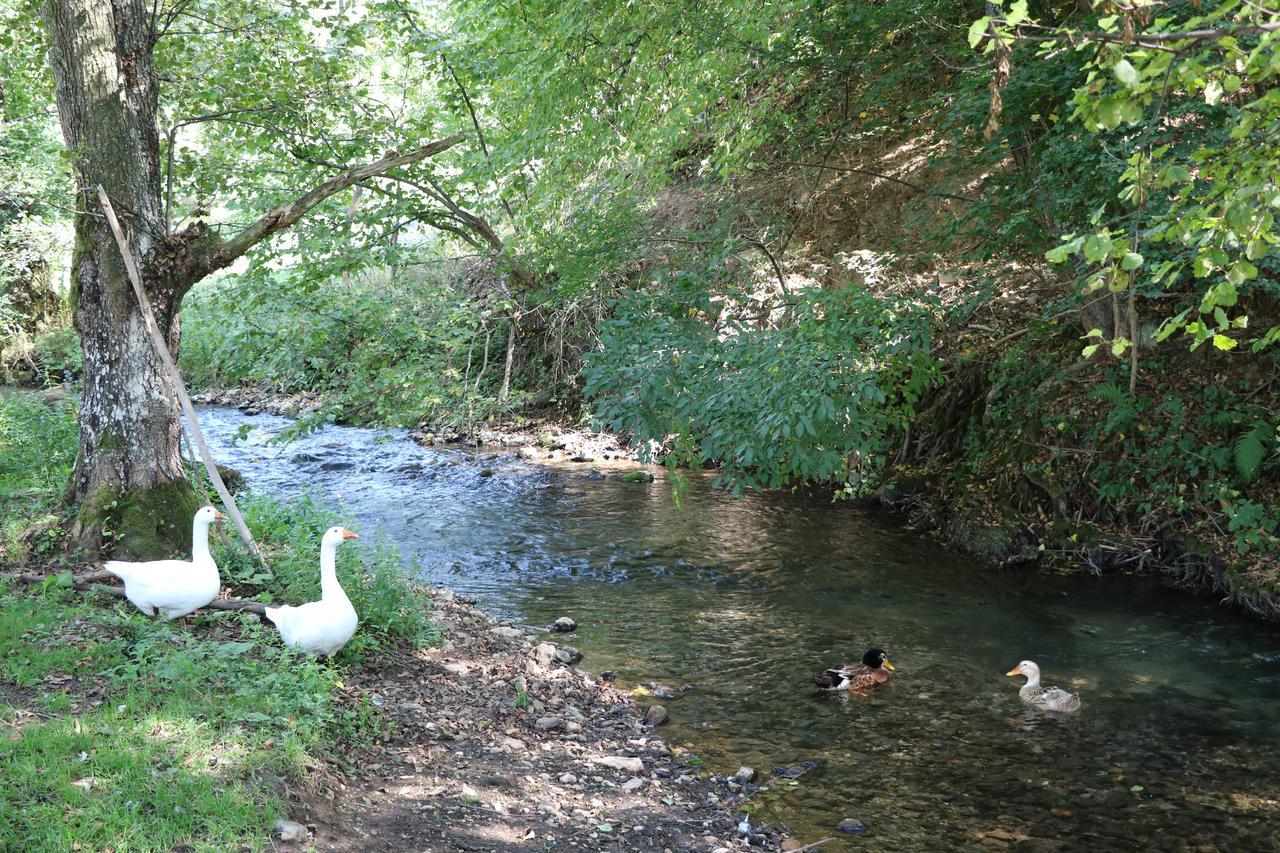 Eco Camp Dzogaska Vrela Hotel Pljevlja Bagian luar foto