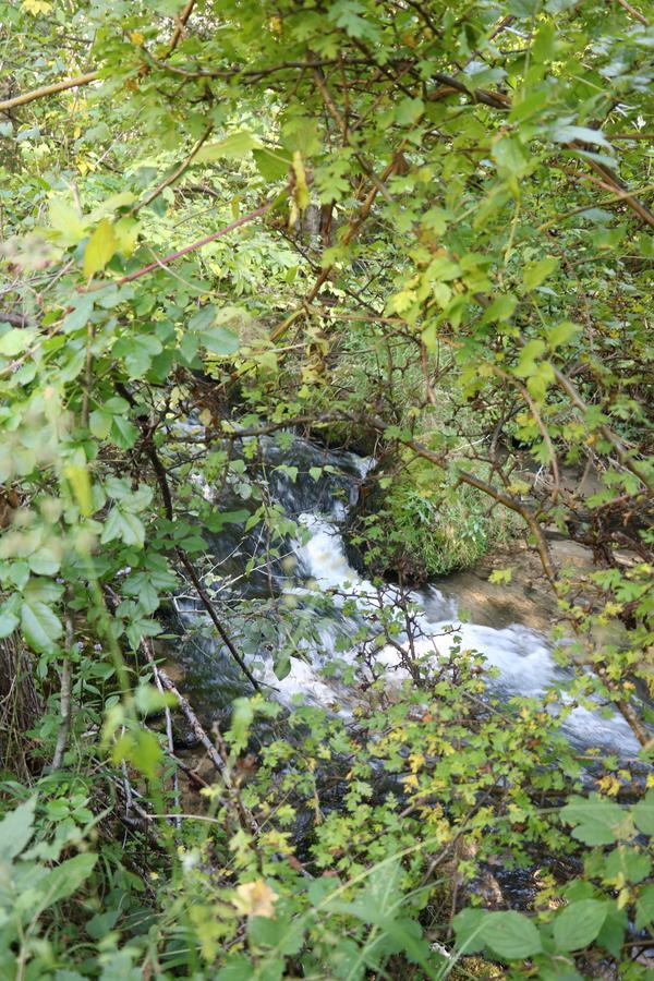 Eco Camp Dzogaska Vrela Hotel Pljevlja Bagian luar foto