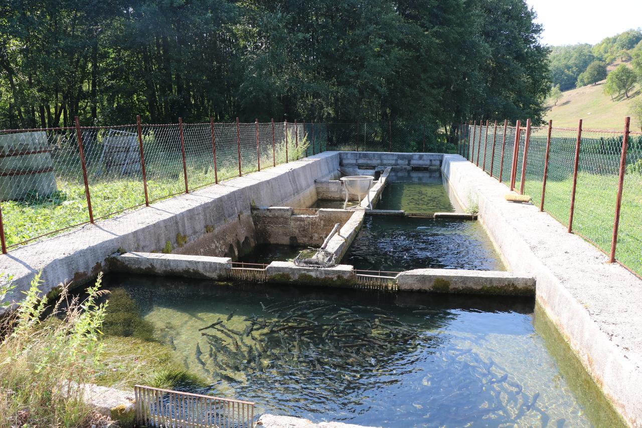 Eco Camp Dzogaska Vrela Hotel Pljevlja Bagian luar foto
