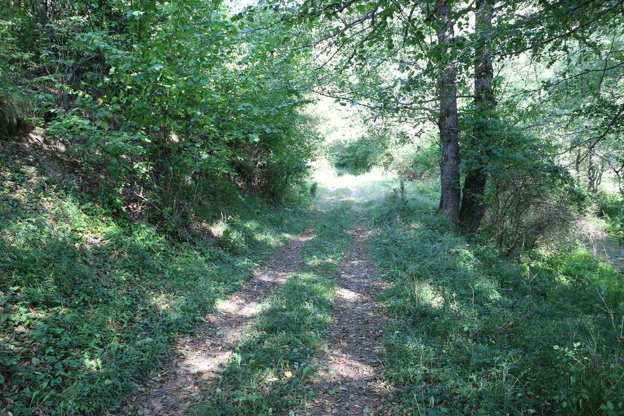 Eco Camp Dzogaska Vrela Hotel Pljevlja Bagian luar foto