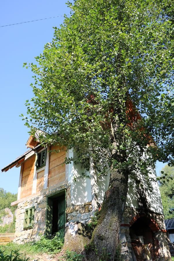 Eco Camp Dzogaska Vrela Hotel Pljevlja Bagian luar foto