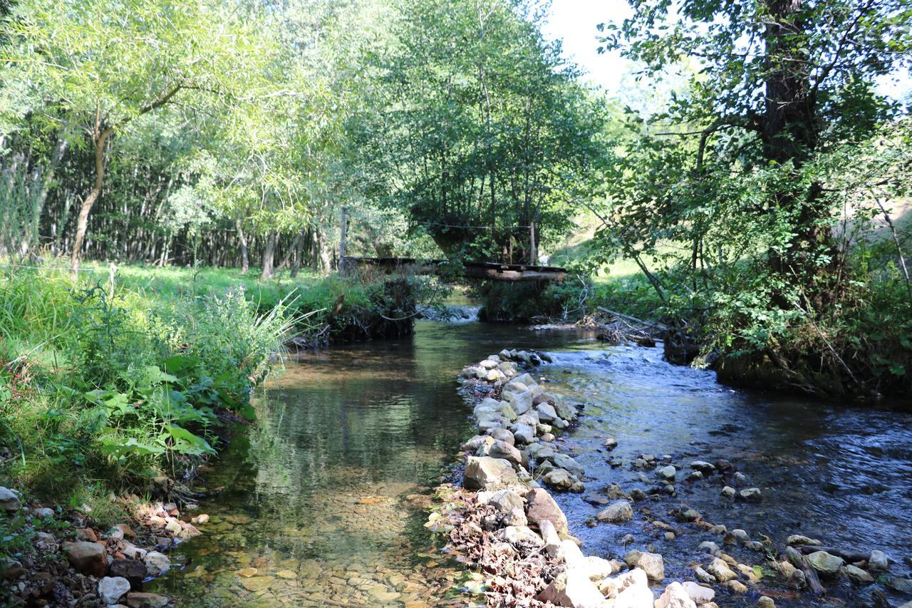 Eco Camp Dzogaska Vrela Hotel Pljevlja Bagian luar foto