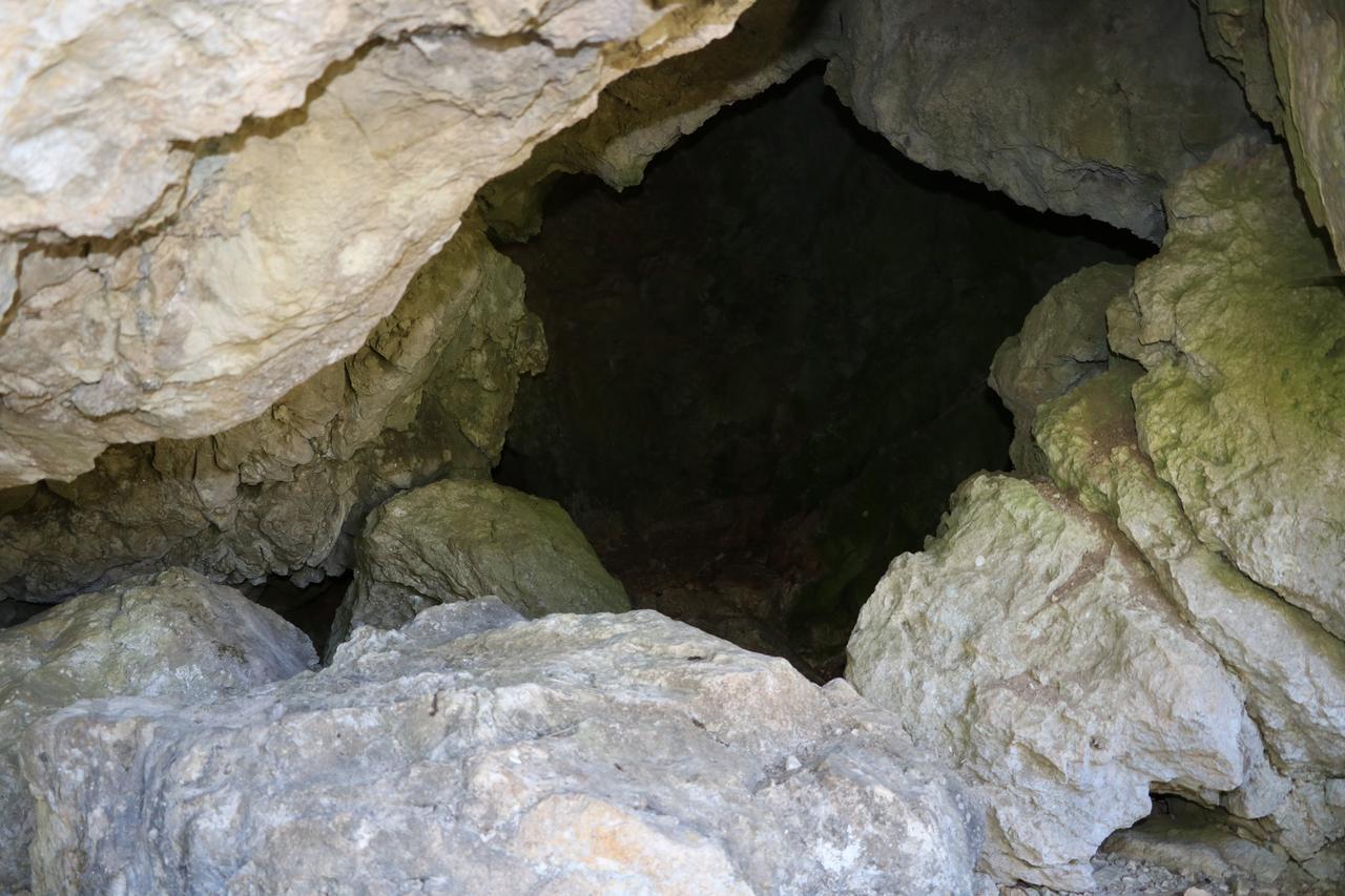 Eco Camp Dzogaska Vrela Hotel Pljevlja Bagian luar foto