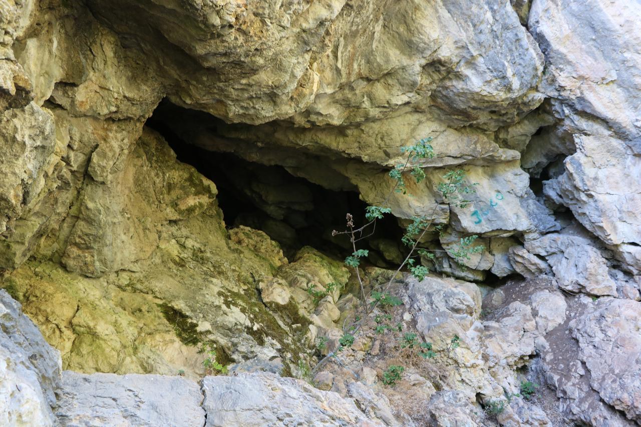 Eco Camp Dzogaska Vrela Hotel Pljevlja Bagian luar foto
