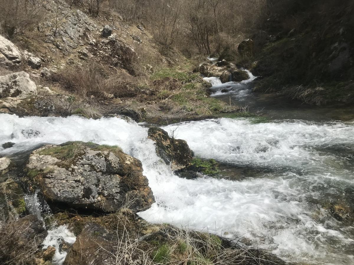 Eco Camp Dzogaska Vrela Hotel Pljevlja Bagian luar foto