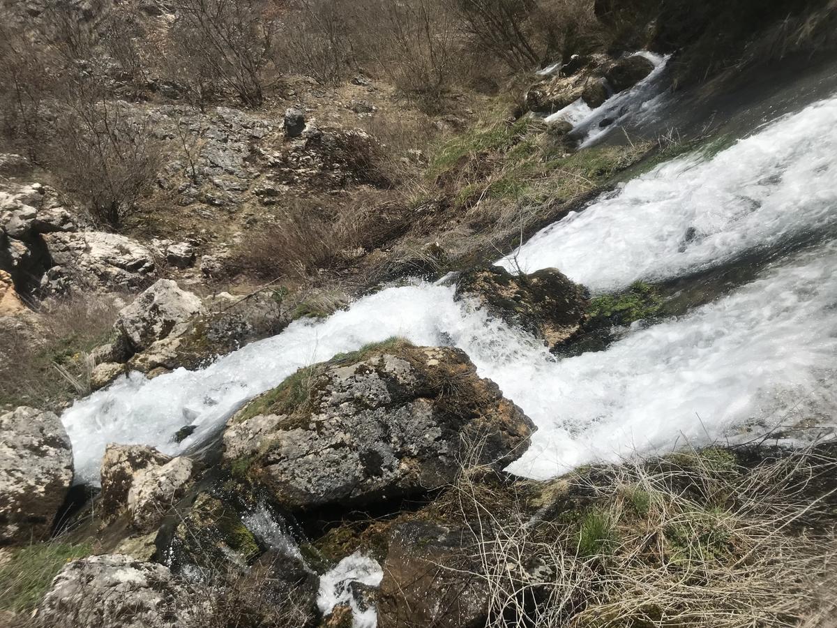 Eco Camp Dzogaska Vrela Hotel Pljevlja Bagian luar foto