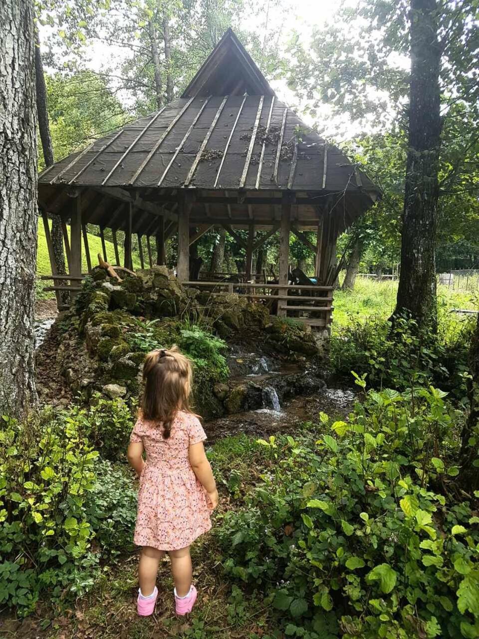 Eco Camp Dzogaska Vrela Hotel Pljevlja Bagian luar foto