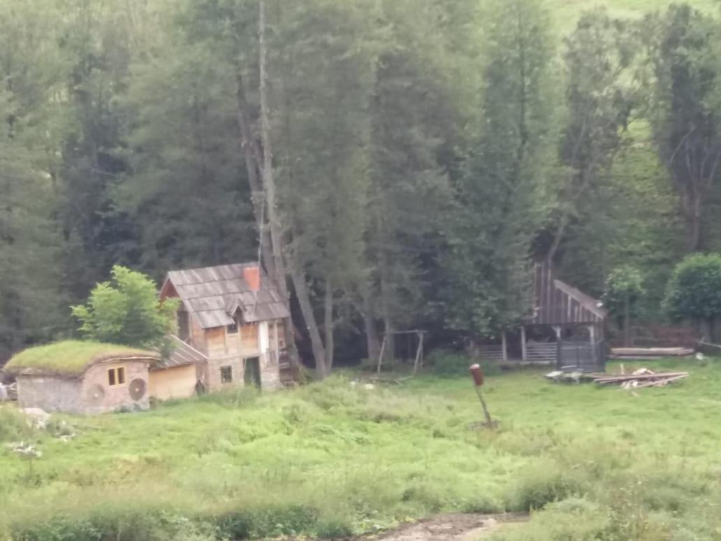 Eco Camp Dzogaska Vrela Hotel Pljevlja Bagian luar foto
