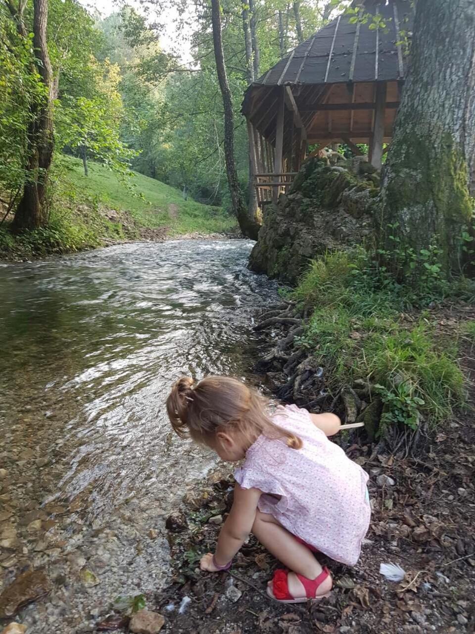 Eco Camp Dzogaska Vrela Hotel Pljevlja Bagian luar foto