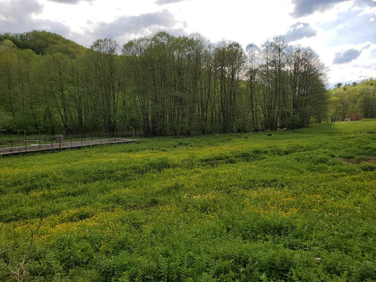 Eco Camp Dzogaska Vrela Hotel Pljevlja Bagian luar foto